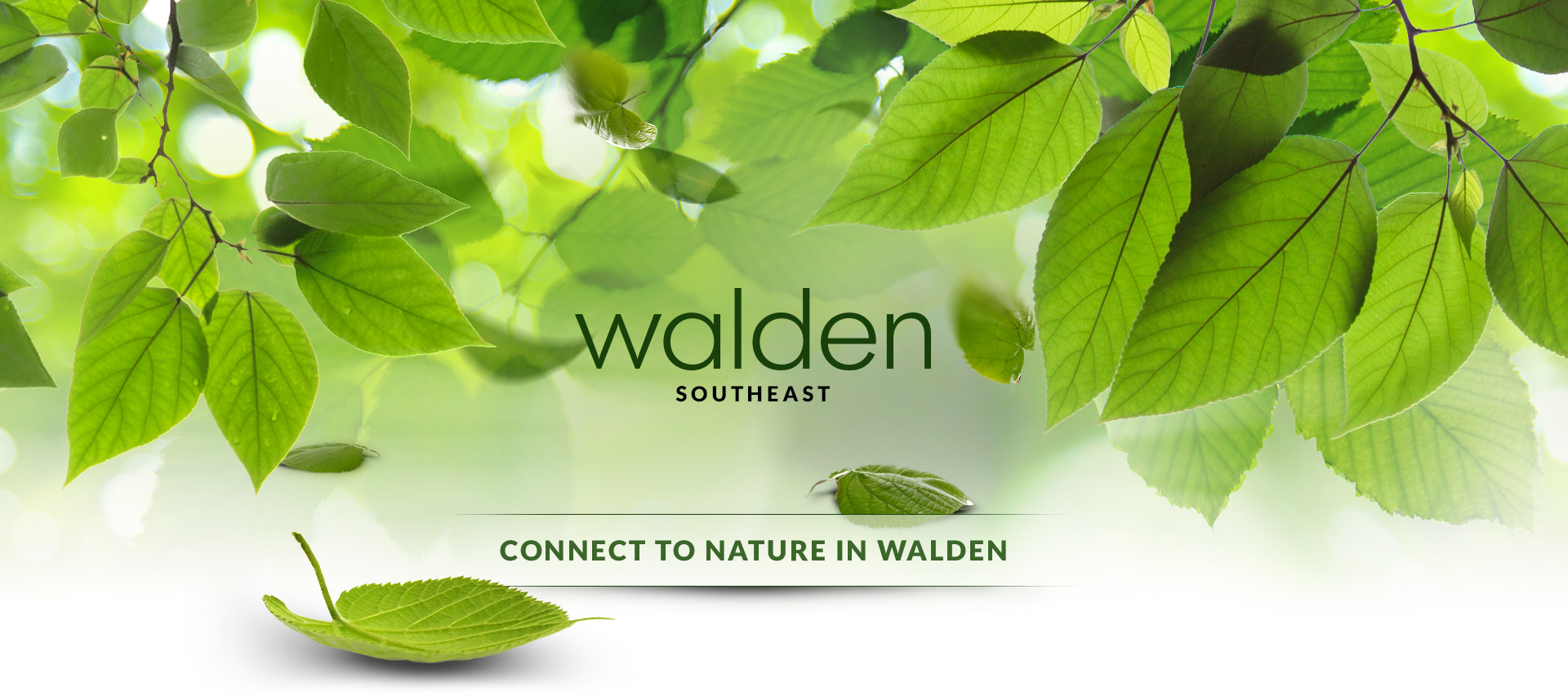 Walden Mobile Banner