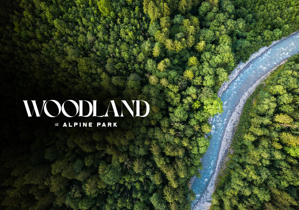 Woodland at Alpine Park